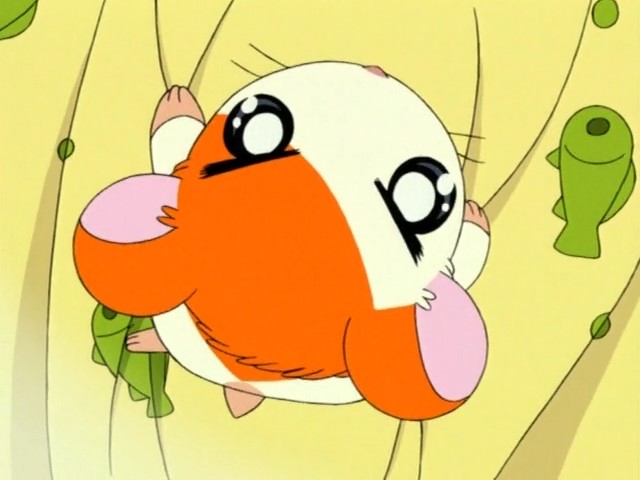 Хамтаро — скриншот 6