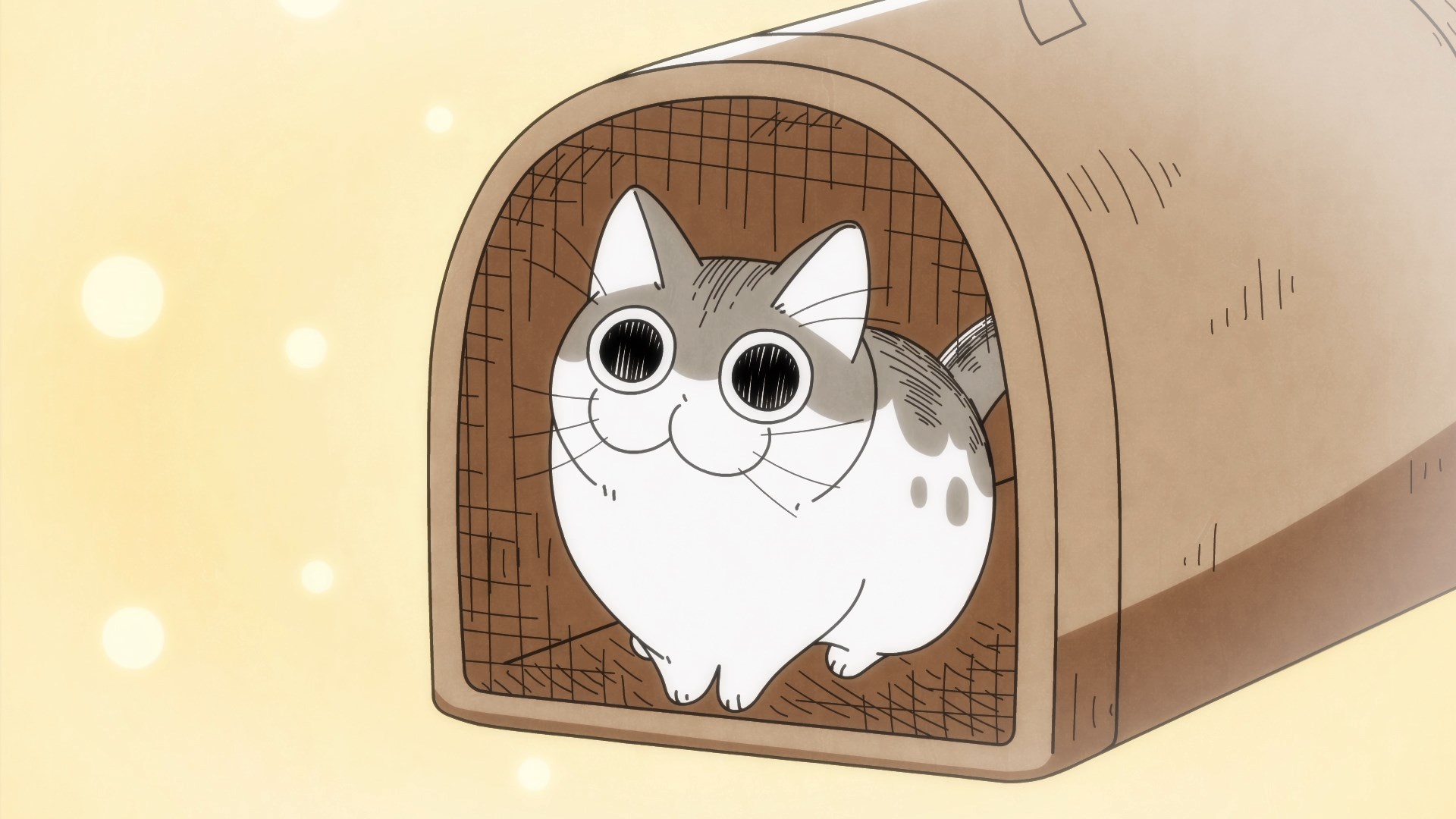 Вечера с кошкой — скриншот 5