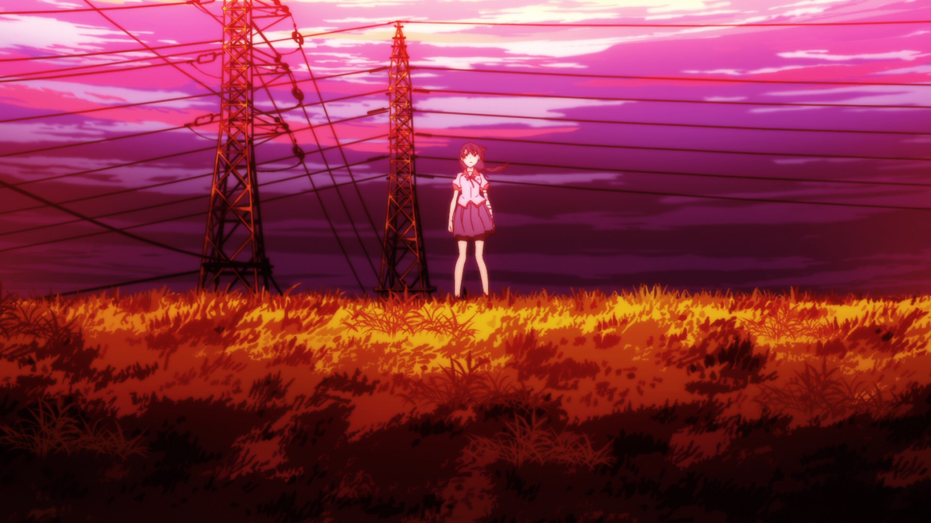 История цветов — скриншот 36