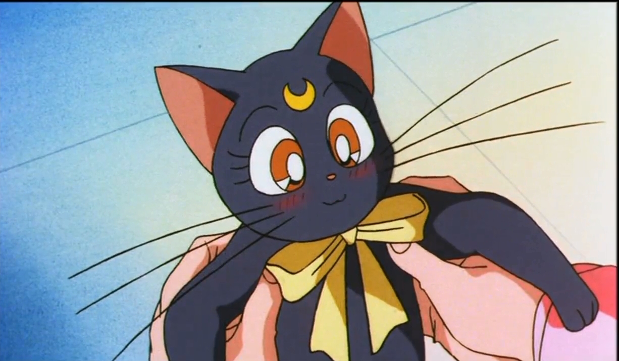 Красавица-воин Сейлор Мун Эс: Возлюбленный принцессы Кагуи — скриншот 34