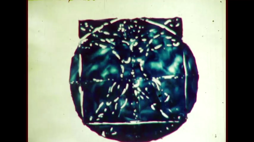 Естественная история — скриншот 30