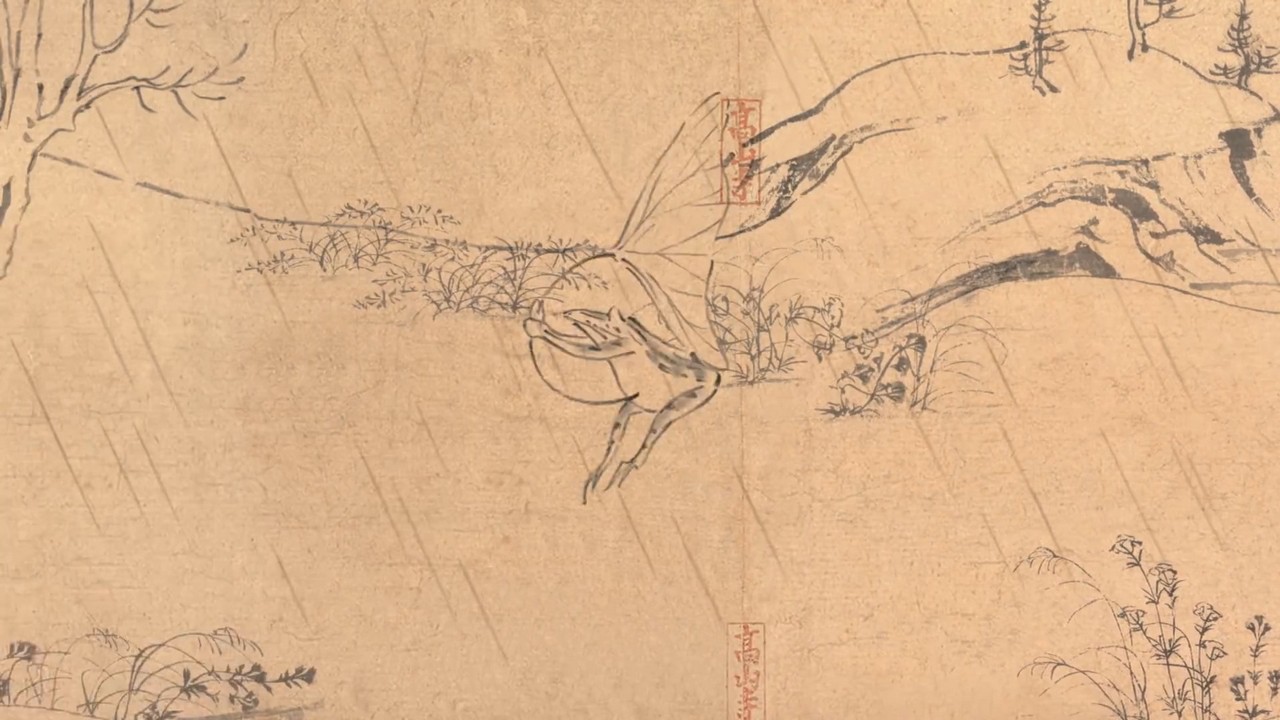 Весёлые картинки из жизни животных — скриншот 24