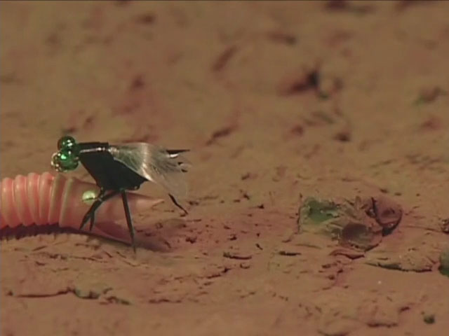 Новый соломинкозавр — скриншот 14