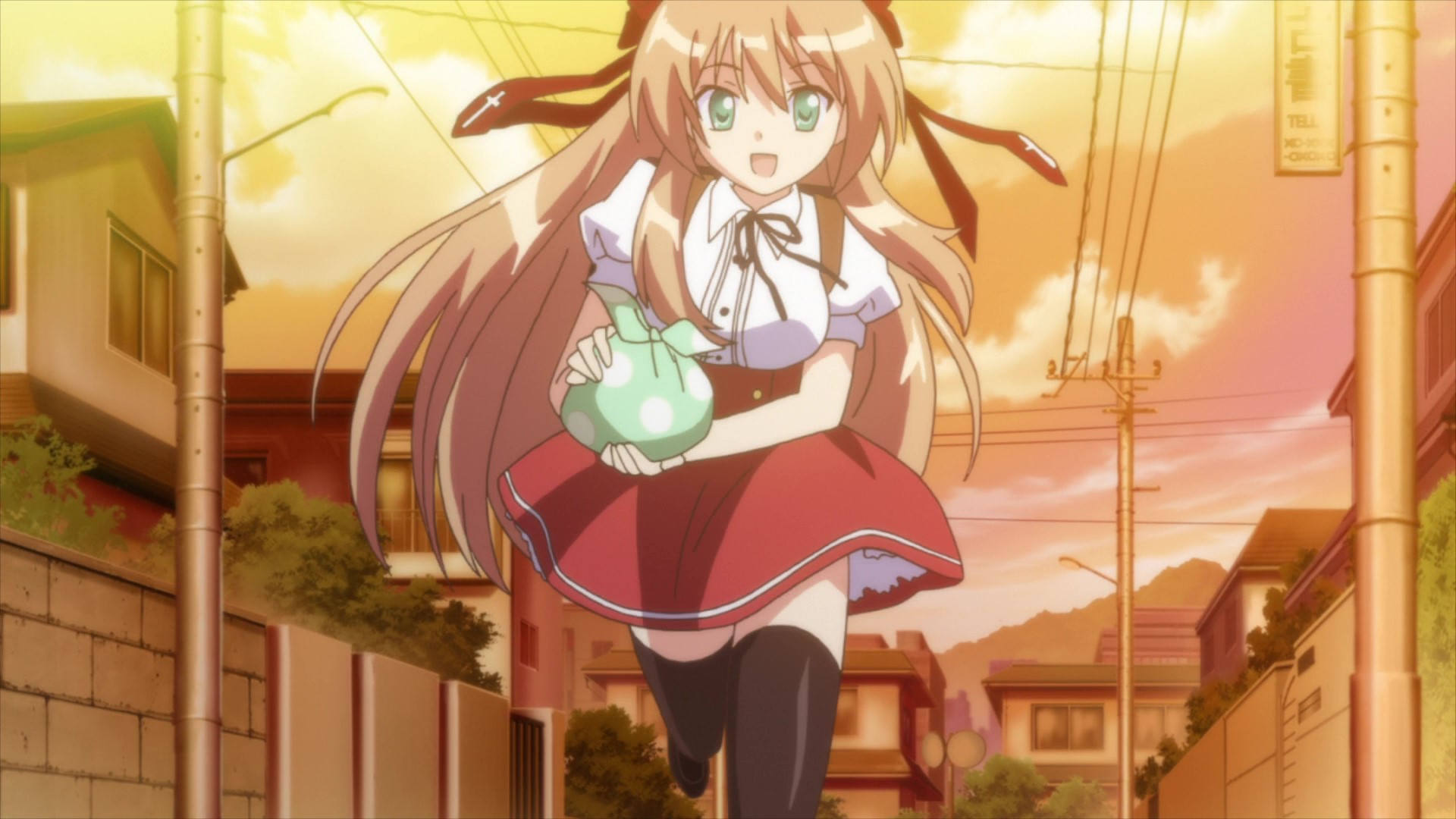 Нашествие бродячих кошек! — скриншот 20