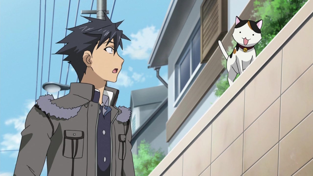 Кошачьи прихоти! — скриншот 27