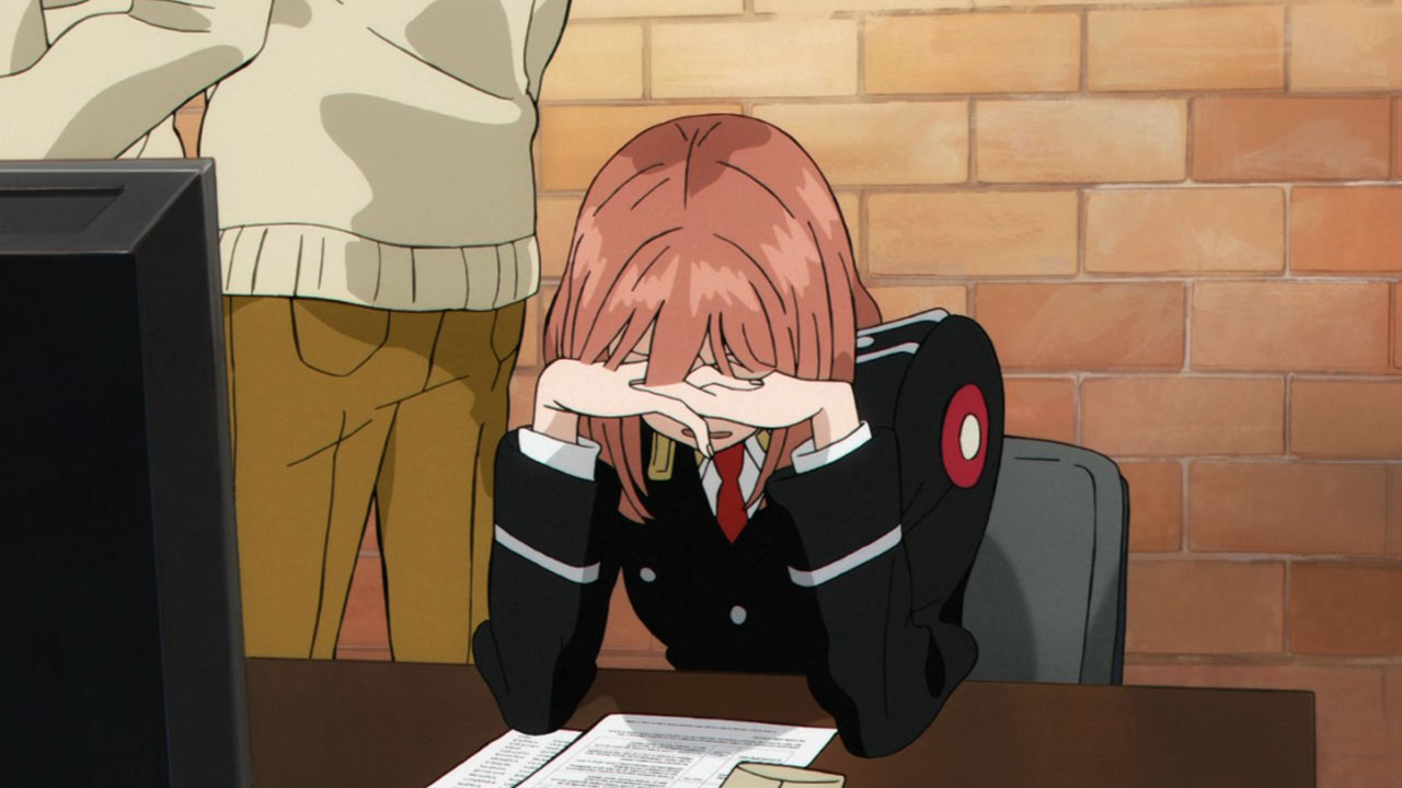 АККА: Инспекция по 13 округам — скриншот 21