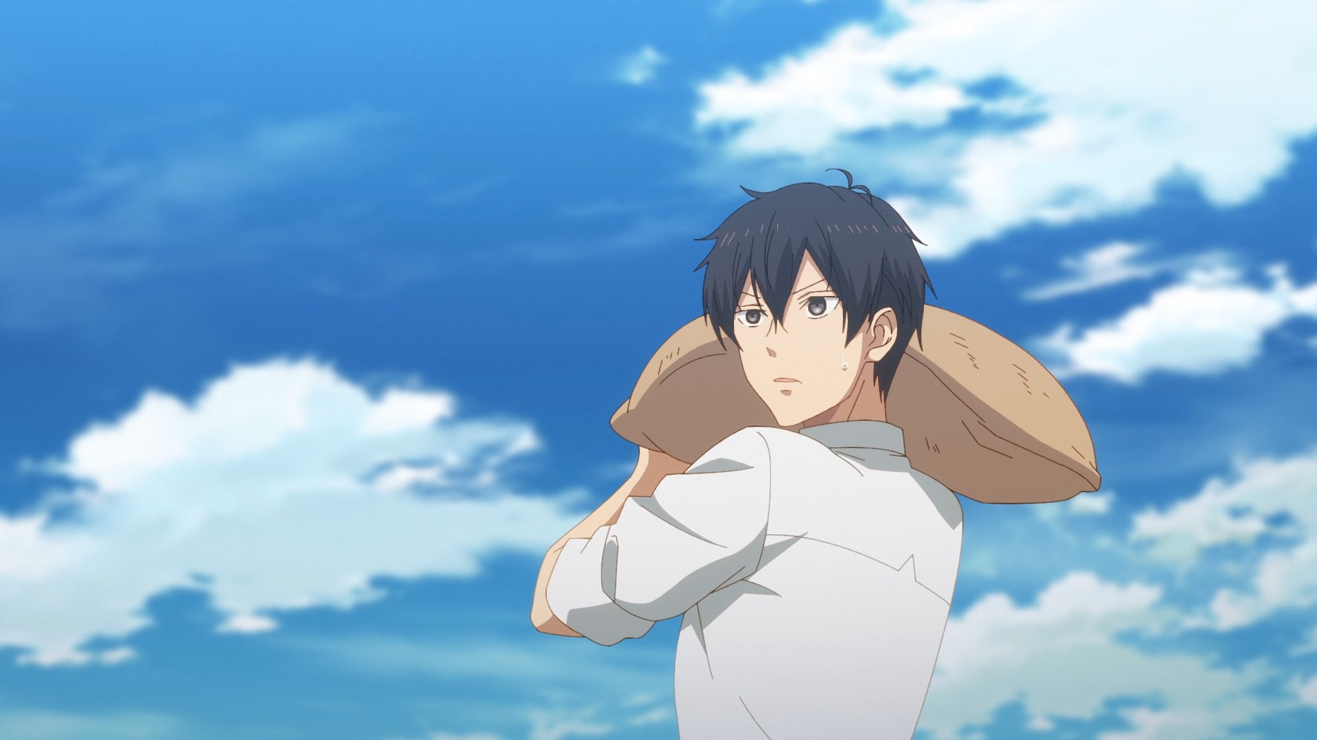 Мир отомэ-игр — это тяжёлый мир для мобов — скриншот 14