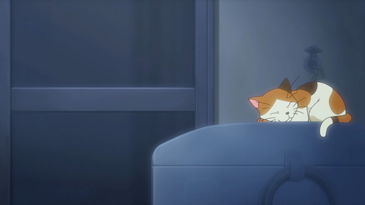 Книжный в Дэнкигай — скриншот 36