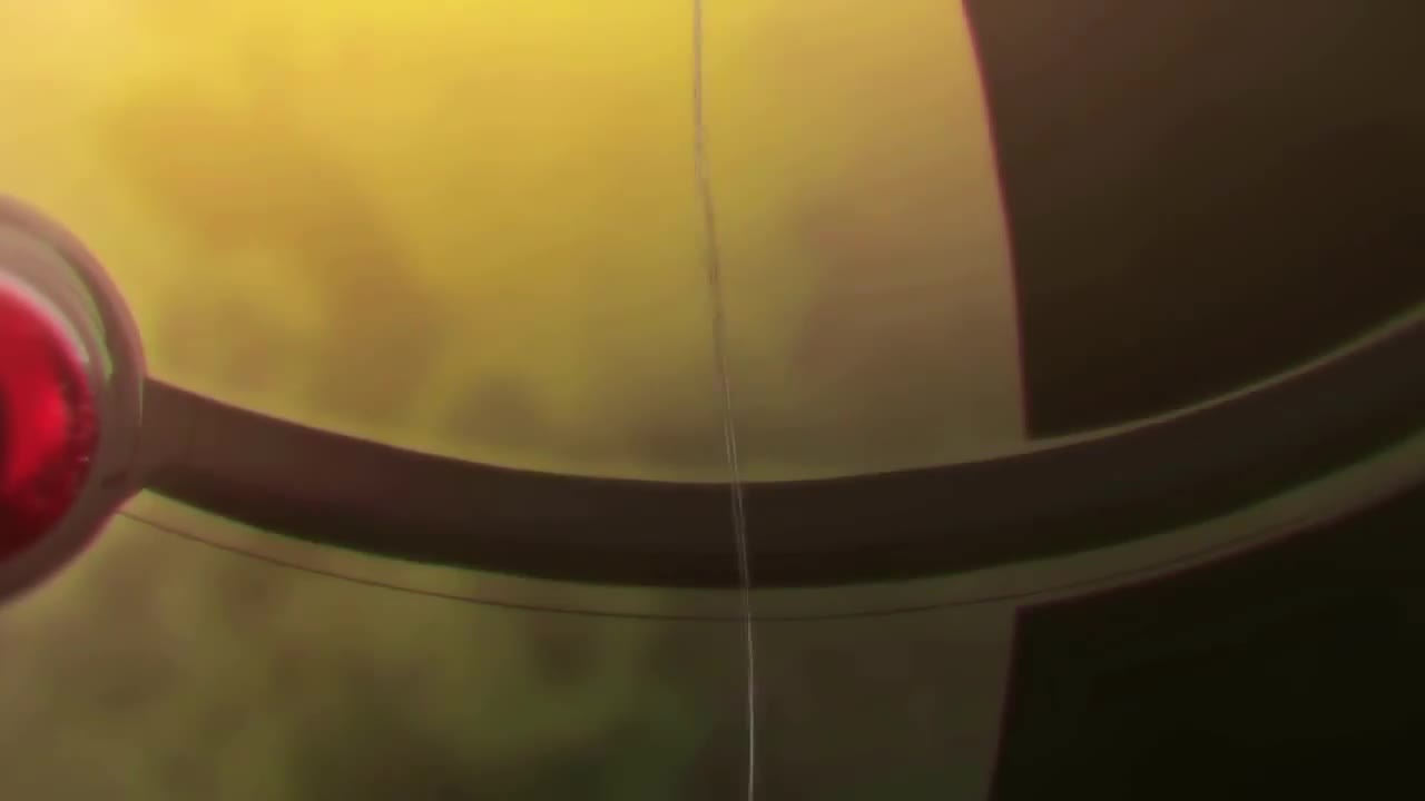 Юная пчёлка — скриншот 10