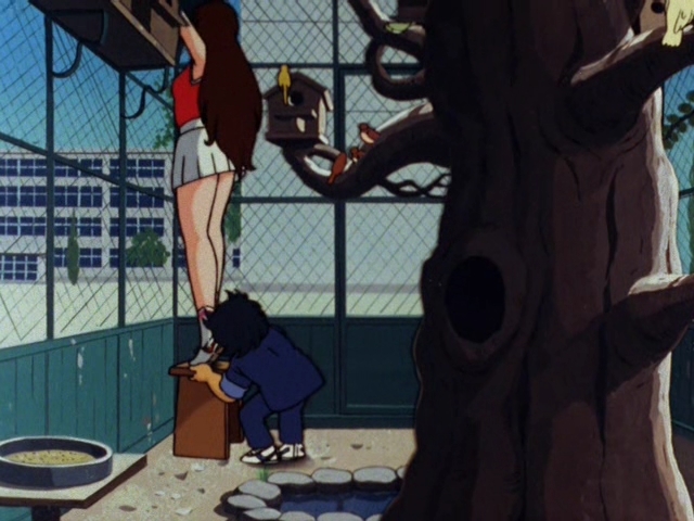 Тыквенное вино — скриншот 13