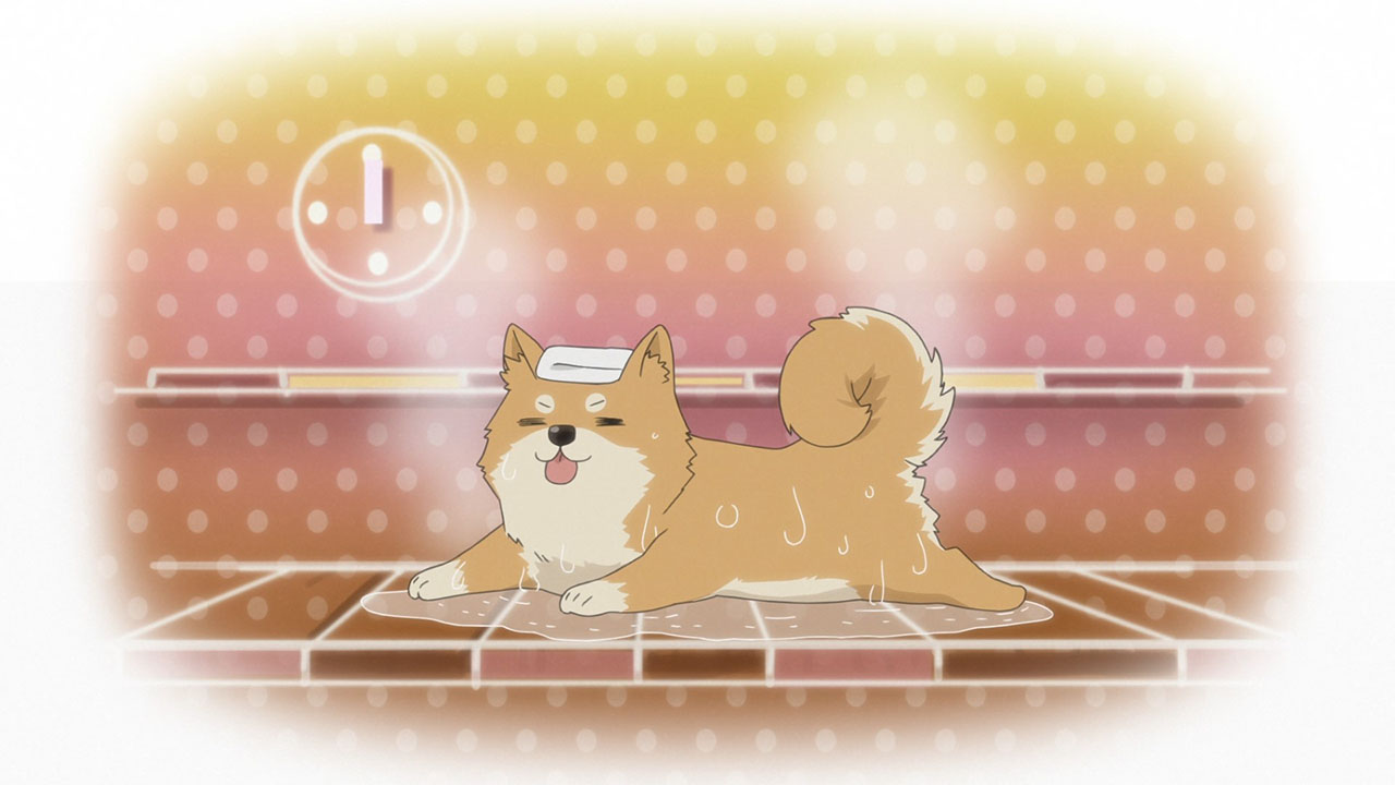 Комнатный поход: Сауна, рис и трёхколёсный мотоцикл — скриншот 18