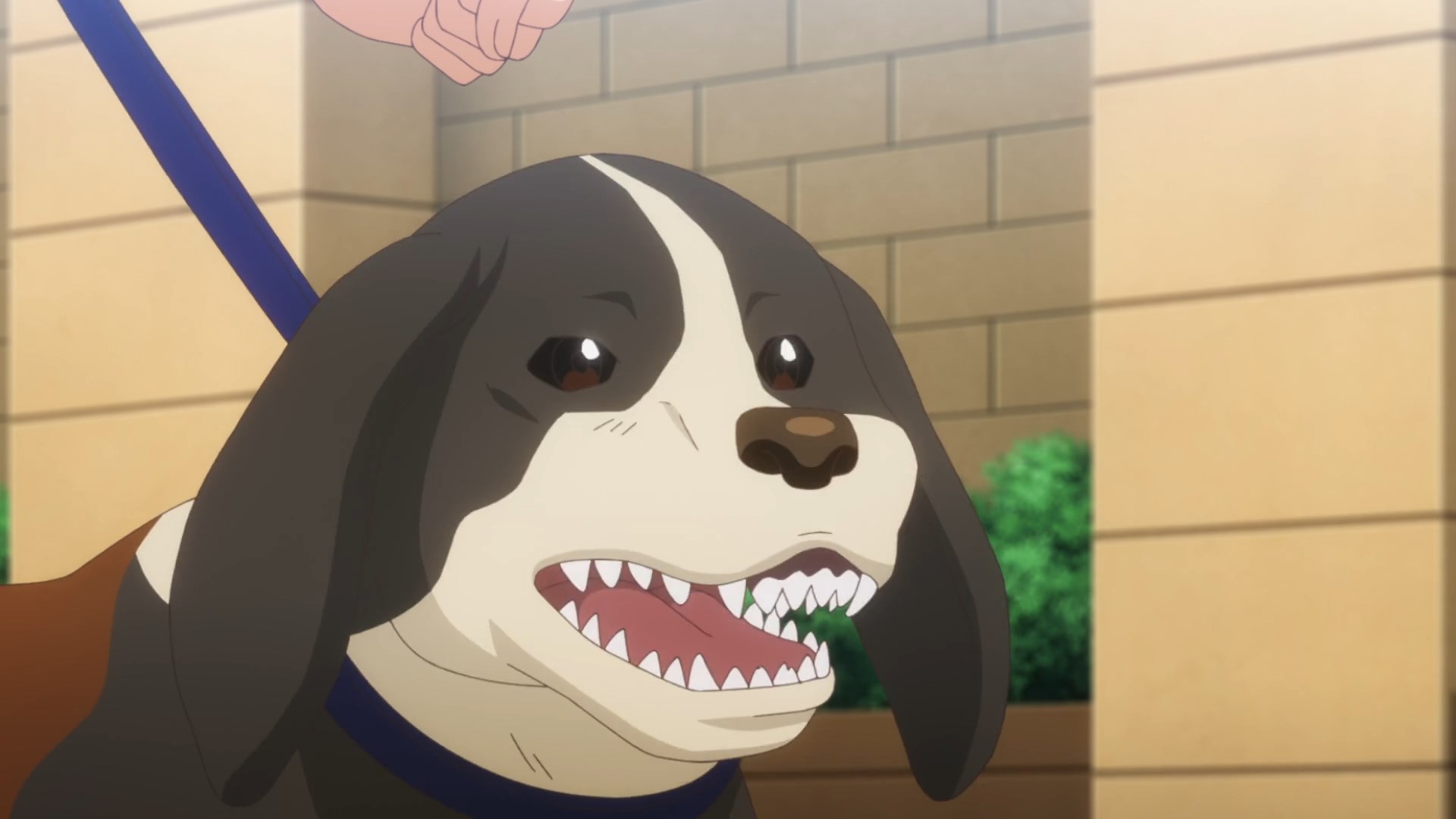 Стать любимой собачкой: Спецвыпуски — скриншот 28