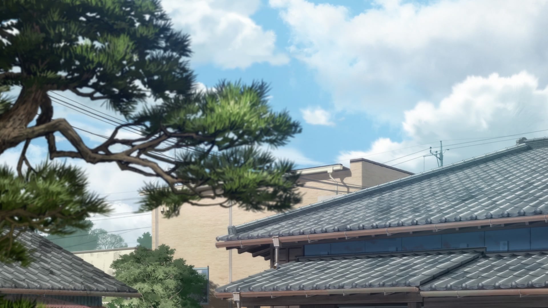 Сообразительный Гонта: История жизни собаки с двумя именами, пострадавшей в Фукусиме — скриншот 13