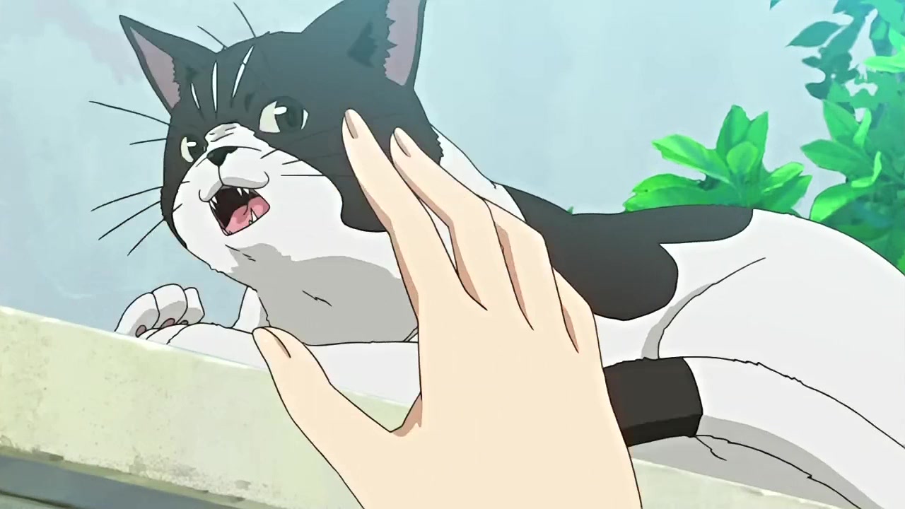 Пока есть любовь, не имеет значения, что он мой брат — скриншот 21