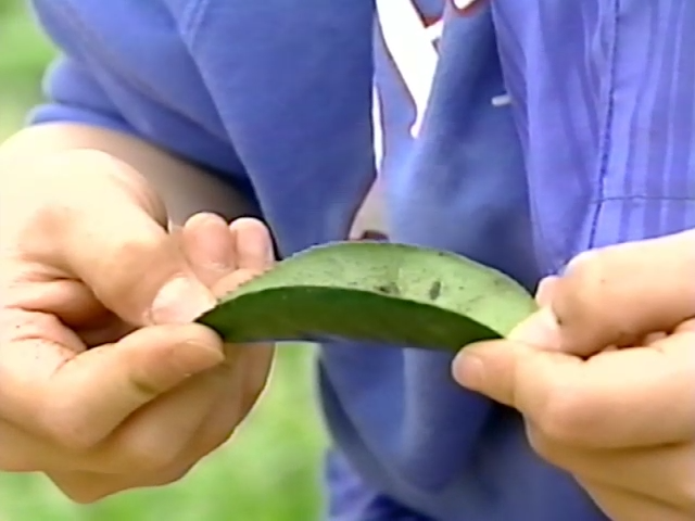 Детектив Конан: Используя опыт работы периода Дзёмон! — скриншот 20