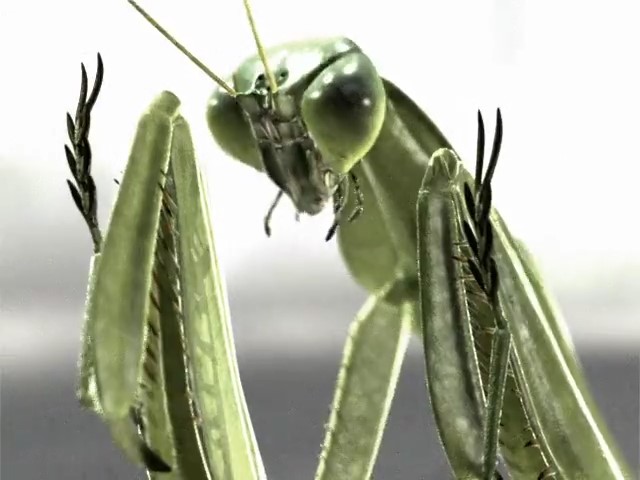 Крутой парень! — скриншот 7