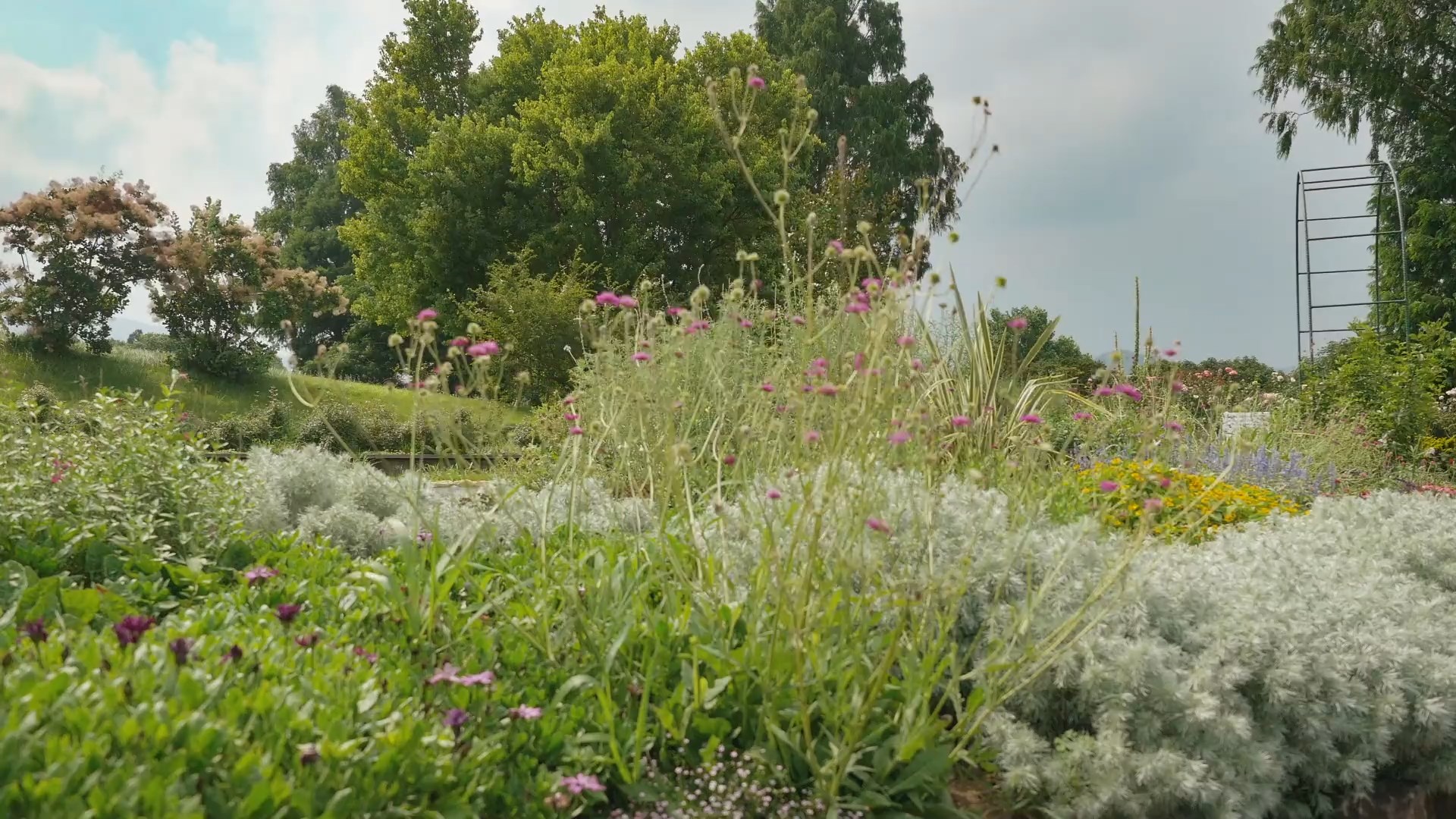 Нянбо — скриншот 26