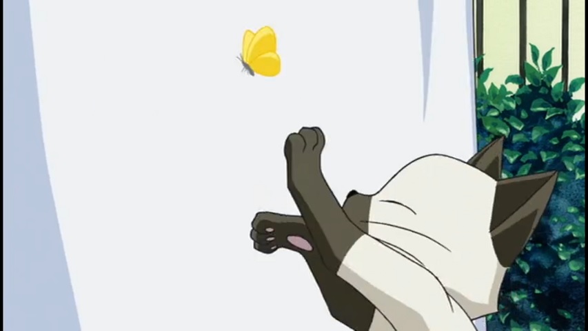 Канон: Цветы ветра — скриншот 7