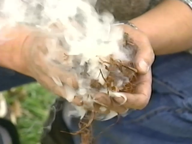 Детектив Конан: Используя опыт работы периода Дзёмон! — скриншот 21