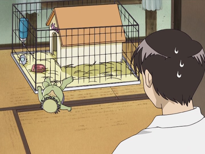 Как вырастить Каппу — скриншот 30