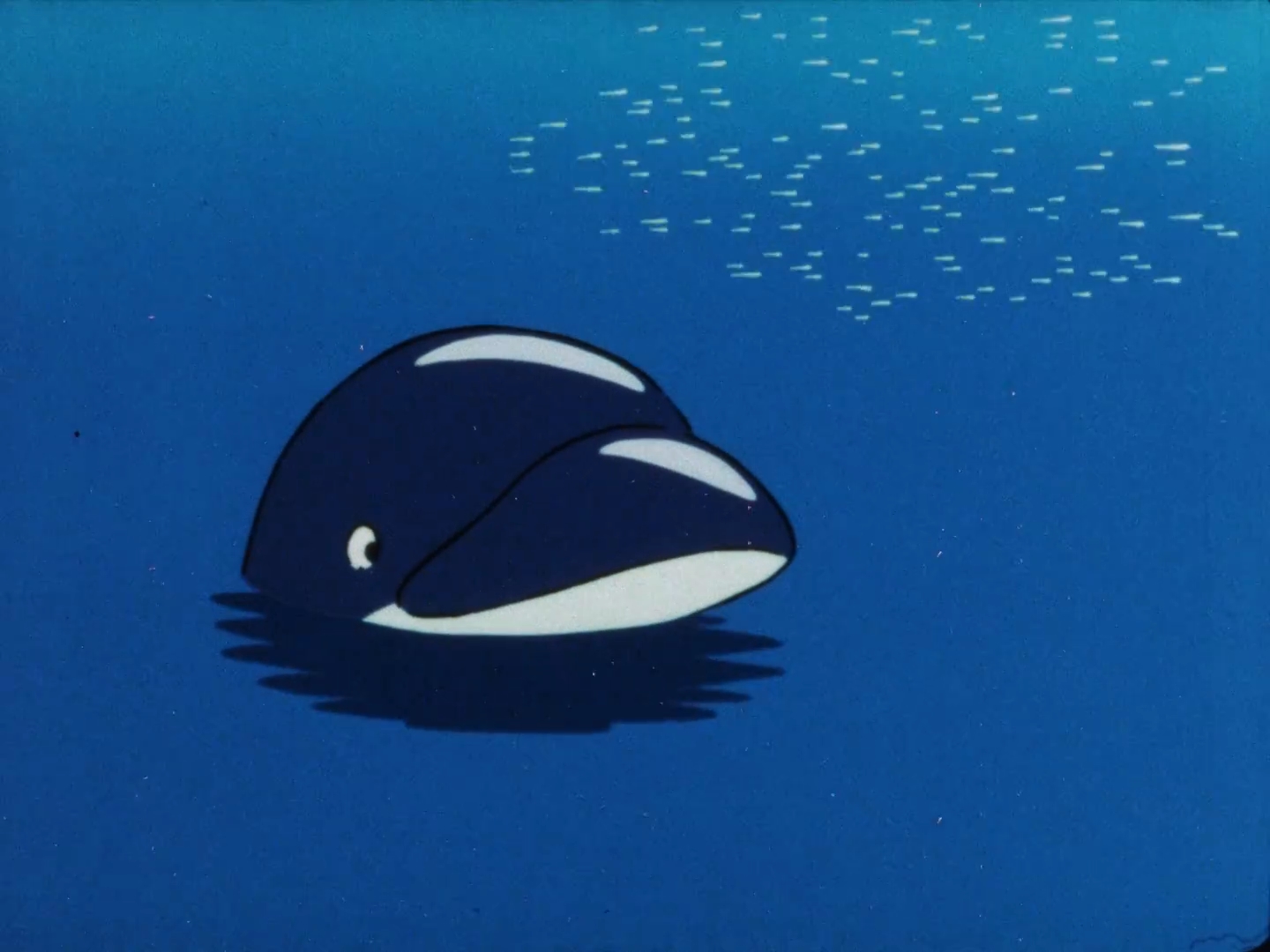 Морской котик — скриншот 14