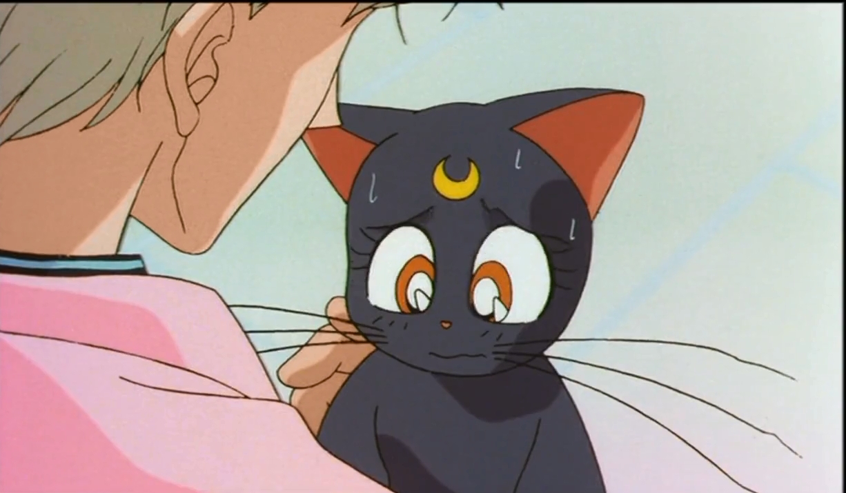 Красавица-воин Сейлор Мун Эс: Возлюбленный принцессы Кагуи — скриншот 27