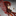 stalkill