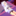 d_yeger