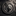 DarkWolfDev