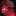 The_Suspect