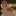 The_other_hand