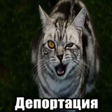 pwidhd8d