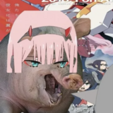 Mysterious Chi-Chi