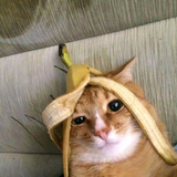 meyuness