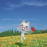 insert cool nickname