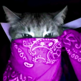 OpchikTopchik