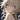 Lia.wi
