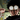 Qusik_Reborn