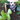 vampi()r