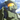 sgt.pohren