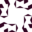 xon1z77