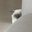 oladushek_meow
