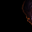 diabloomen