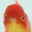 voomnyan