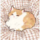 ʚ 𝓂𝑒𝓁𝒾𝓉𝑜𝒹𝑒𝓈 ɞ