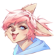 ErickPinkFox