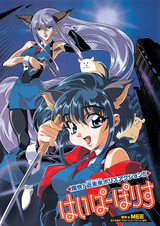 Гиперполиция