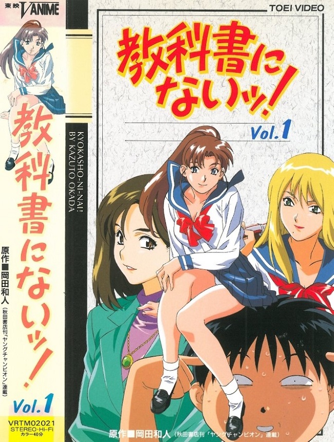 Постер Совершенно частный урок