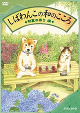 Дух гармонии Сибаванко