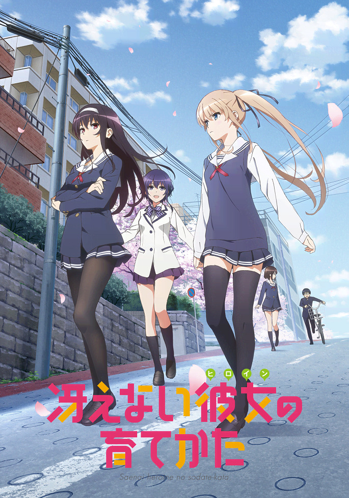 Постер Как воспитать героиню из обычной девушки